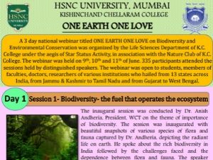 One Earth One Love