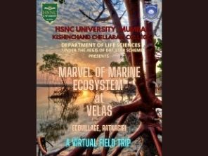 Vitrual Field Trip to Velas